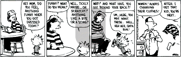 Calvin and Hobbes - Thursday May 10, 1990 Comic Strip
