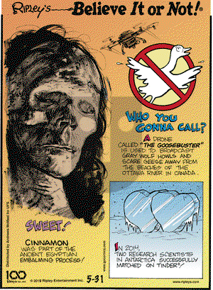 Ripley's Believe It or Not on Friday May 31, 2019 Comic Strip