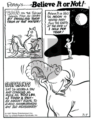 Ripley's Believe It or Not on Monday July 7, 1997 Comic Strip