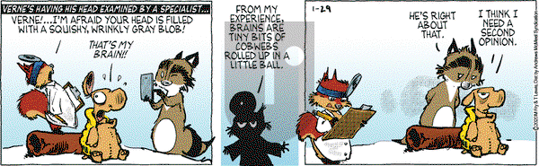 Over the Hedge on Wednesday January 29, 2020 Comic Strip