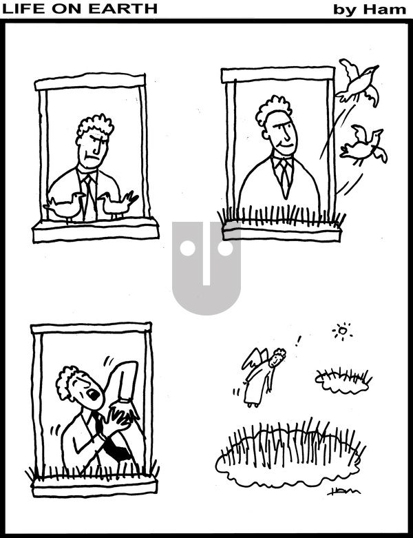 Life on Earth on Wednesday May 21, 2025 Comic Strip