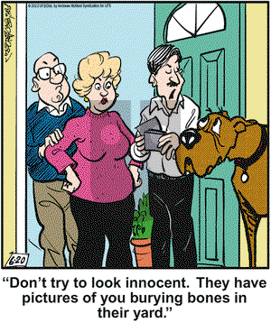Marmaduke on Monday June 20, 2022 Comic Strip