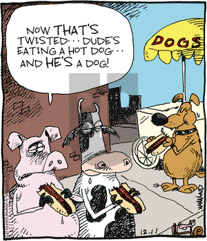 Reality Check on Tuesday December 11, 2012 Comic Strip