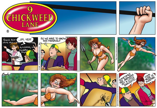 9 Chickweed Lane on Sunday May 6, 2001 Comic Strip