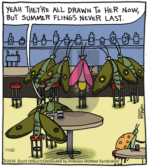 The Argyle Sweater on Friday November 22, 2019 Comic Strip