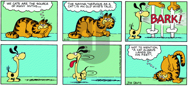 Garfield on Sunday August 20, 1978 Comic Strip