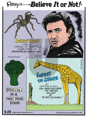 Ripley's Believe It or Not on Tuesday September 29, 2020 Comic Strip