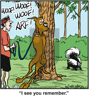 Marmaduke on Saturday December 11, 2021 Comic Strip