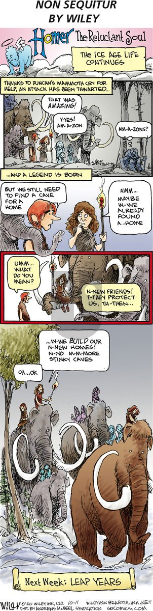 Non Sequitur - Sunday October 11, 2020 Comic Strip
