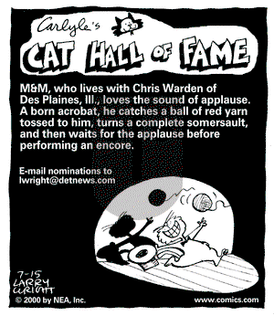 Kit 'N' Carlyle on Saturday July 15, 2000 Comic Strip