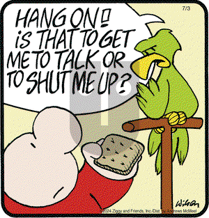 Ziggy - Wednesday July 3, 2024 Comic Strip