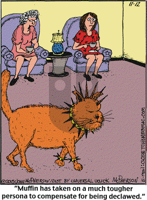 Close to Home on Thursday November 12, 2015 Comic Strip