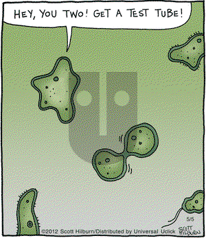 The Argyle Sweater on Saturday May 5, 2012 Comic Strip