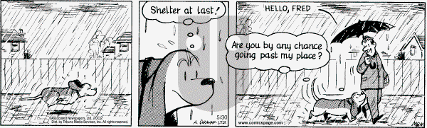 Fred Basset on Thursday May 30, 2002 Comic Strip