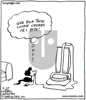 Kit 'N' Carlyle on Wednesday August 31, 2005 Comic Strip