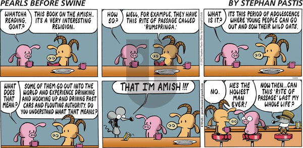 Pearls Before Swine on Sunday December 23, 2012 Comic Strip