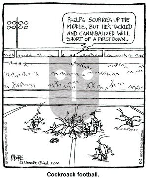 In the Bleachers on Tuesday August 5, 1997 Comic Strip
