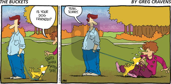 The Buckets on Sunday November 27, 2016 Comic Strip