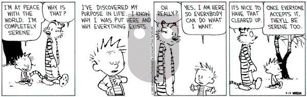 Calvin and Hobbes on Wednesday April 14, 1993 Comic Strip