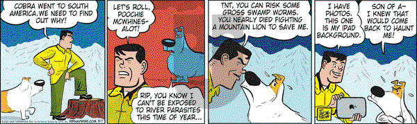 Rip Haywire - Thursday March 7, 2013 Comic Strip