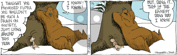 The Grizzwells - Saturday January 3, 2009 Comic Strip