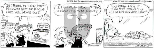 Soup to Nutz - Old on Tuesday April 6, 2004 Comic Strip