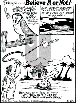 Ripley's Believe It or Not on Thursday May 23, 1996 Comic Strip