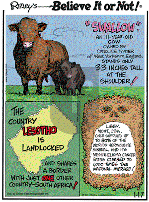 Ripley's Believe It or Not on Monday January 17, 2011 Comic Strip