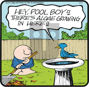 Ziggy on Saturday October 13, 2012 Comic Strip