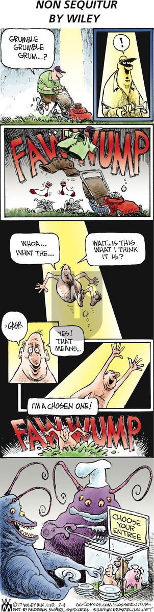 Non Sequitur on Sunday July 9, 2017 Comic Strip