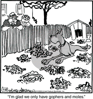 Marmaduke on Friday July 18, 2008 Comic Strip