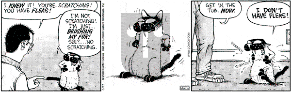 Get Fuzzy on Saturday June 17, 2000 Comic Strip