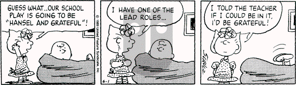 Peanuts - Thursday June 1, 1989 Comic Strip