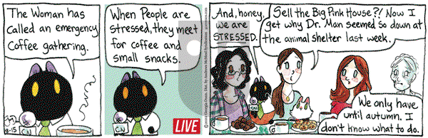 Breaking Cat News - Monday August 15, 2022 Comic Strip