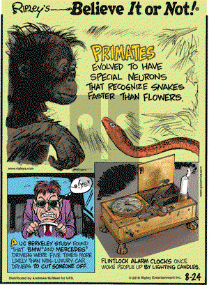 Ripley's Believe It or Not on Friday August 24, 2018 Comic Strip