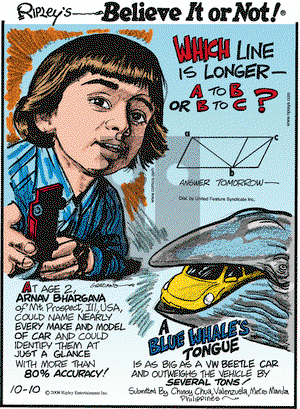 Ripley's Believe It or Not on Friday October 10, 2008 Comic Strip