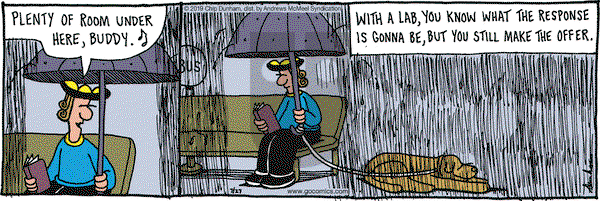 Overboard on Saturday July 27, 2019 Comic Strip