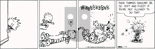 Calvin and Hobbes on Wednesday January 14, 2015 Comic Strip