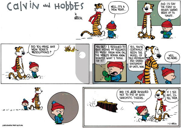 Calvin and Hobbes on Sunday January 1, 1989 Comic Strip