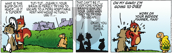 Over the Hedge on Monday February 22, 2016 Comic Strip