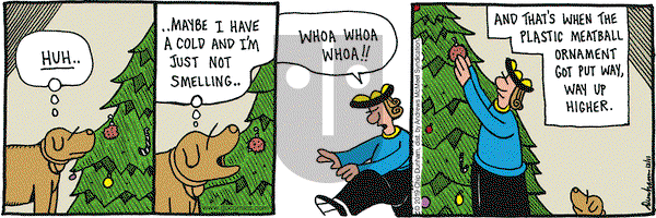 Overboard on Wednesday December 11, 2019 Comic Strip