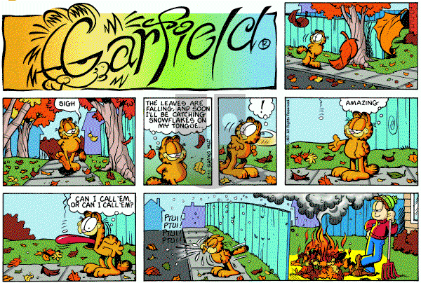 Garfield - Sunday November 2, 1997 Comic Strip