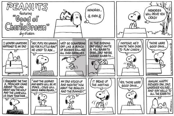 Peanuts on Sunday June 19, 1977 Comic Strip
