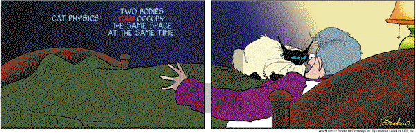 9 Chickweed Lane on Thursday November 15, 2012 Comic Strip