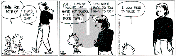 Calvin and Hobbes on Monday November 29, 1993 Comic Strip