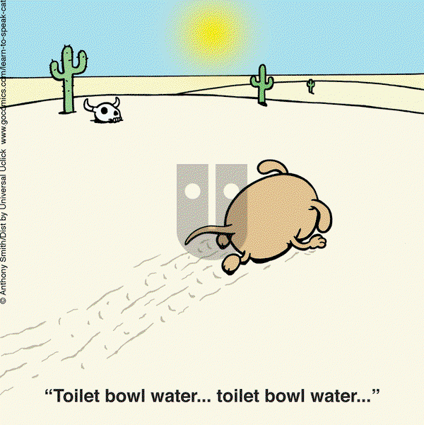 Learn to Speak Cat - Monday July 12, 2021 Comic Strip