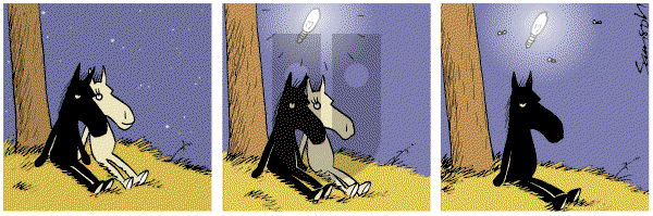 Dark Side of the Horse on Tuesday May 15, 2012 Comic Strip