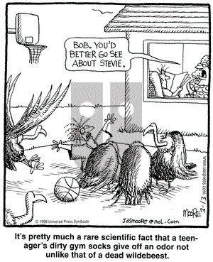In the Bleachers on Friday March 13, 1998 Comic Strip