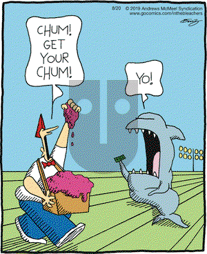 In the Bleachers on Tuesday August 20, 2019 Comic Strip