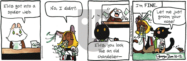 Breaking Cat News on Thursday October 12, 2017 Comic Strip